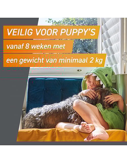 Frontpro Vlo Teek Kauwtablet Hond