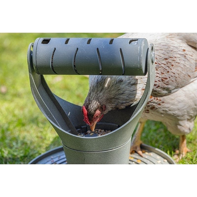 tuinvoeder, eierenvoer, hulpstuk, kippenschaal, voedertrommel