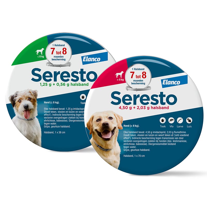 halsband, dog, hondenband, ring, dieren?