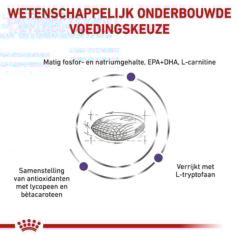 Royal Canin Mature Consult Small Dog