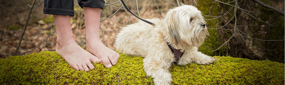 5918aaa9fe206f4a198873b9f5200916