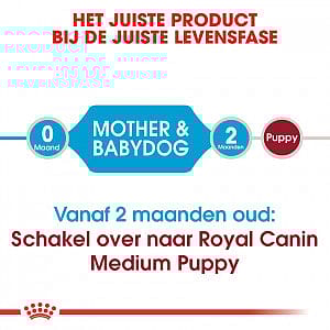 Royal Canin Starter Medium Hond