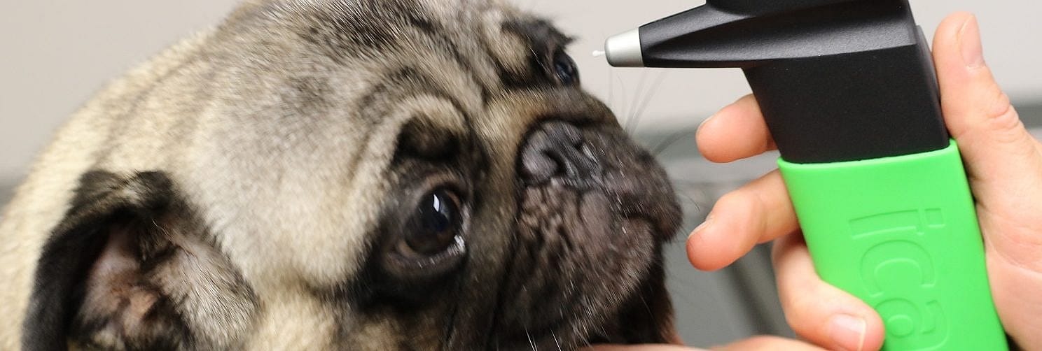 f4d4e561396be3301382a2a5167a9724