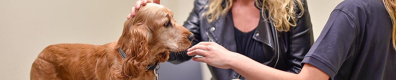 96c0bad6a0b0c9d92170996b3efb8643