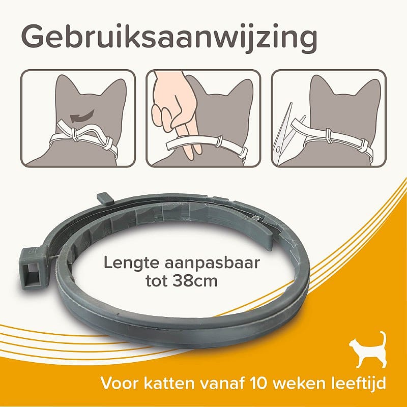 kattenhalsband, verstelbaar, grijs, kunststof, tot 38 cm