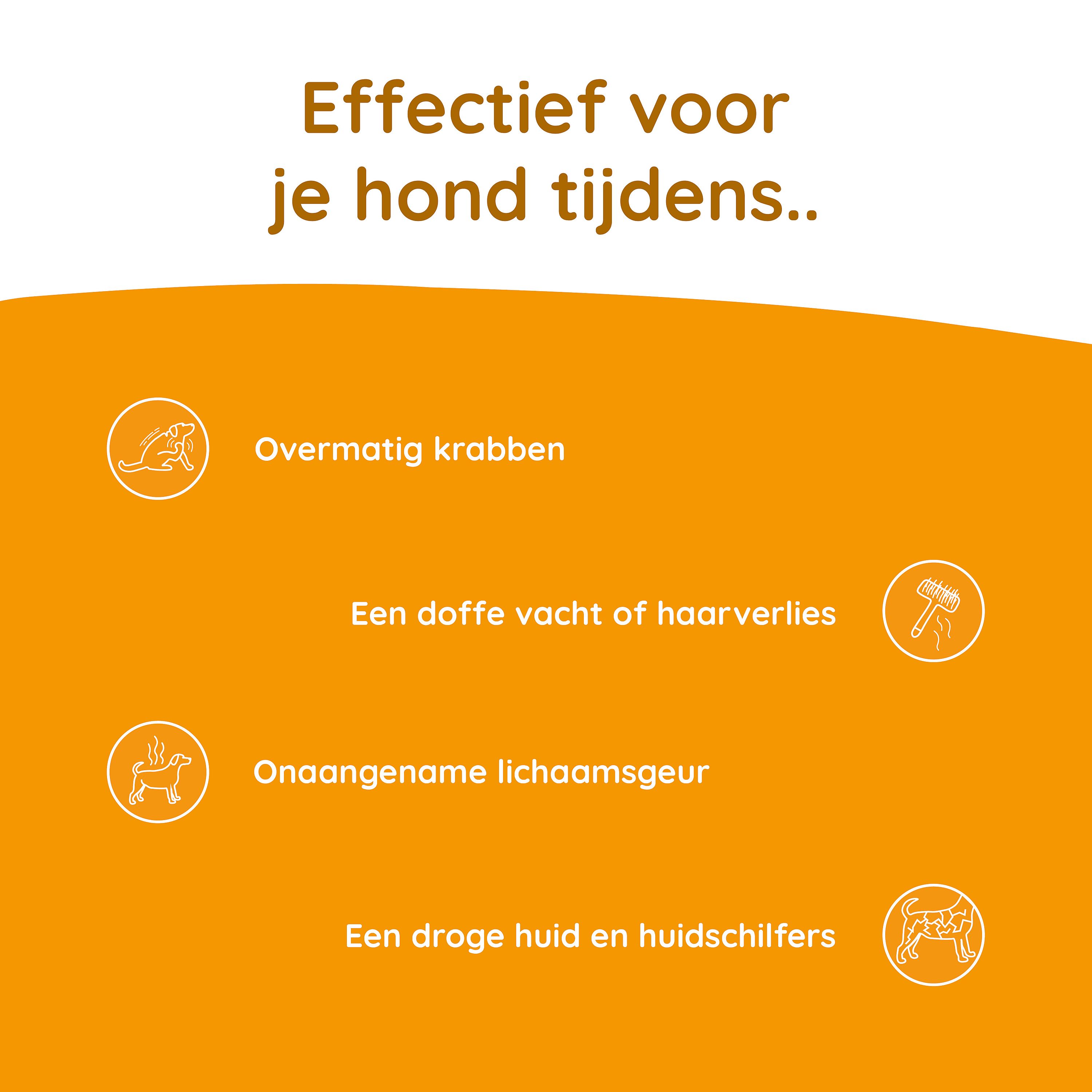 Greenfields Skin+ Huid Hond 250 ml