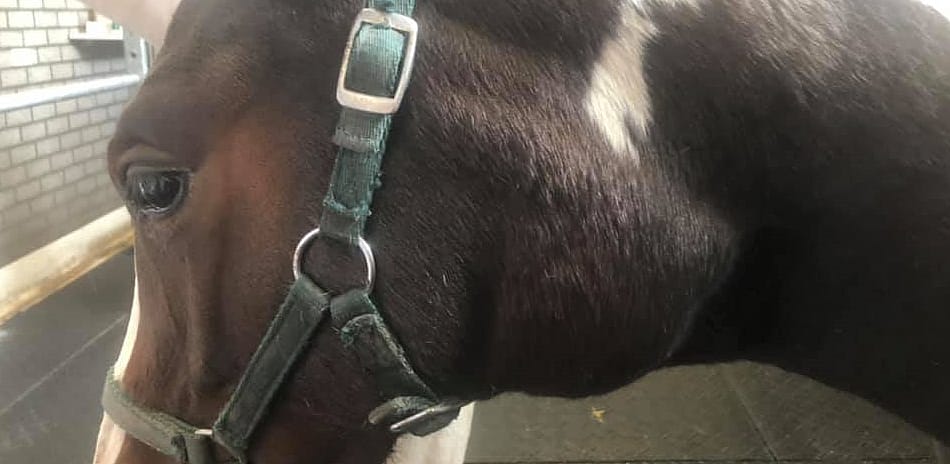 58a0bd12672ae994bbb24bcd4873c958