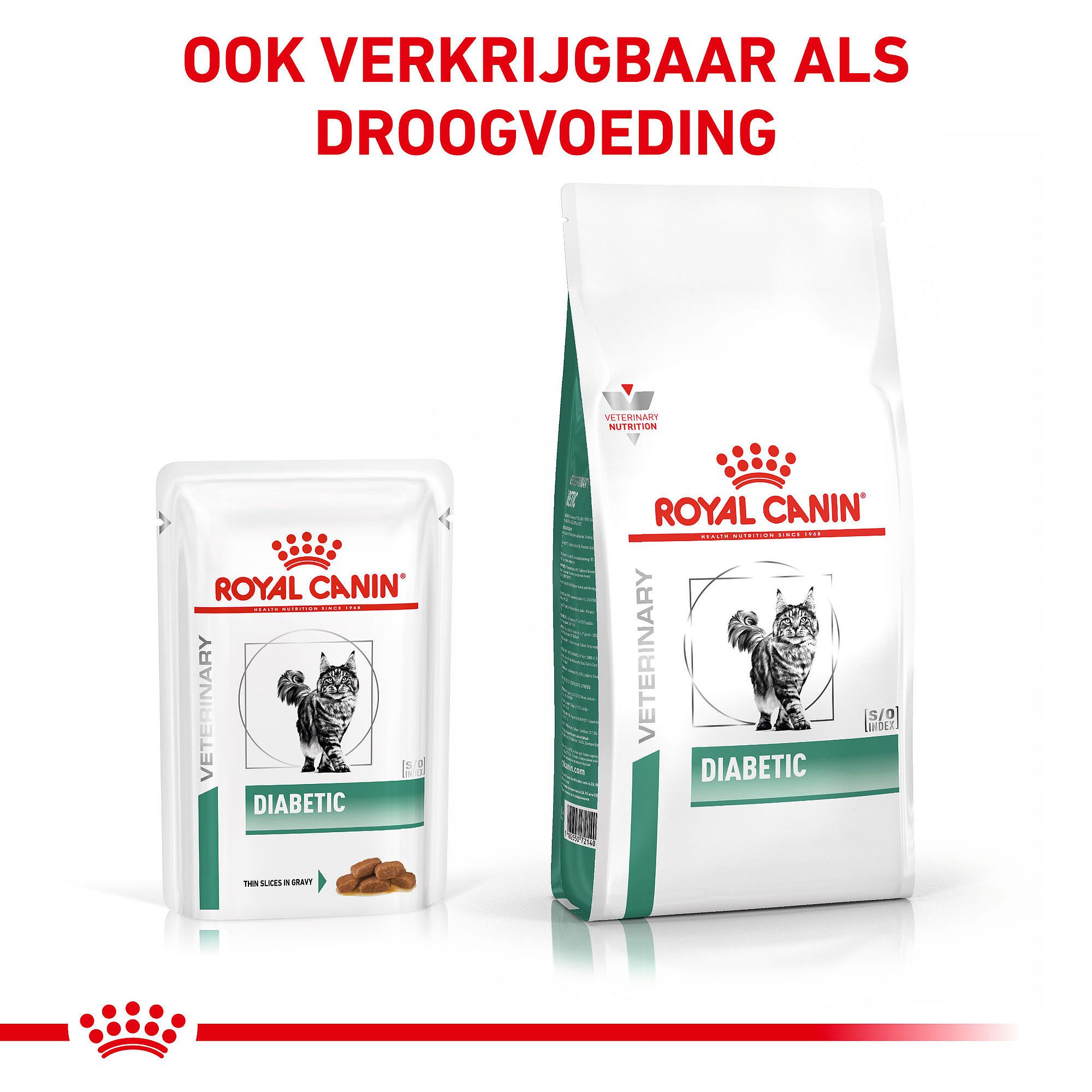 Royal Canin Diabetic Kat