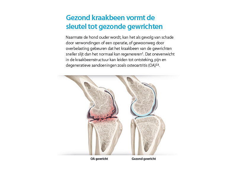 Cosequin DS Hond 120 Chews