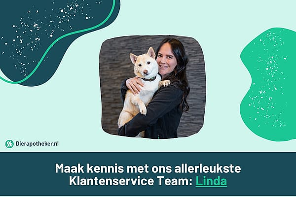 Preview_Image_600x400px_Linda_klantenservice_Blog