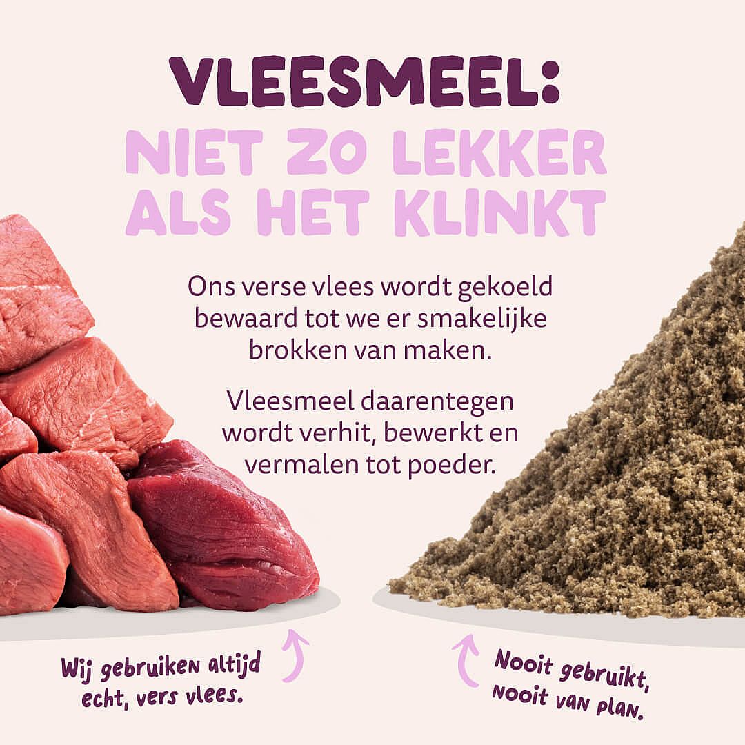 vlees, rundvlees, gehakt, ongeveer?, kv?