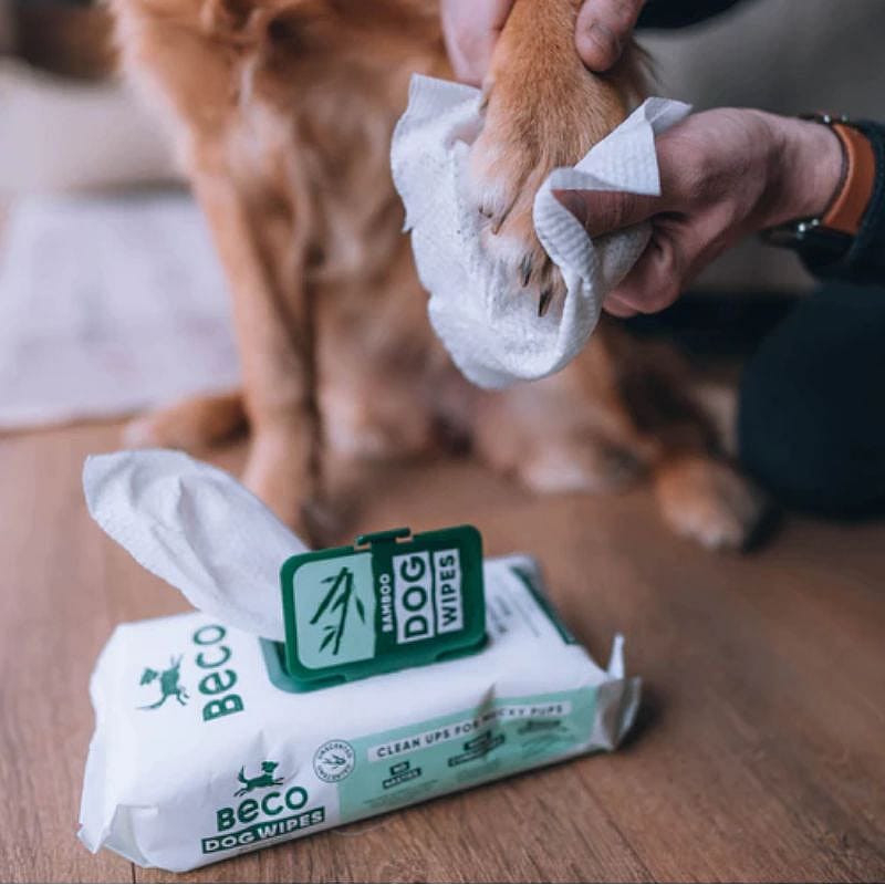 Beco BAMBOO Dog Wipes Hond