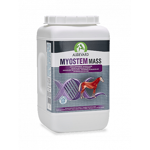 Audevard Myostem Mass Spier Paard 2.1 kg
