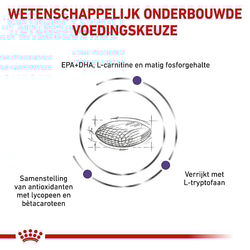 Royal Canin Mature Consult Large Dog 14 kg