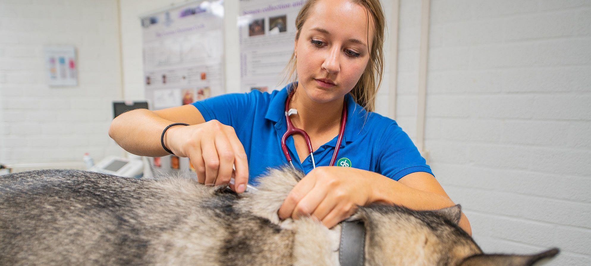 994f839412fa0d899c7c9ec990045001