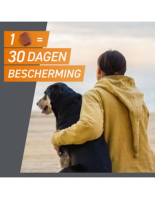 Frontpro Vlo Teek Kauwtablet Hond