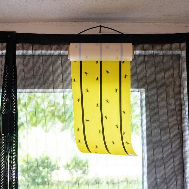 Knock Pest Vliegenkleefrol Geel 5 Meter