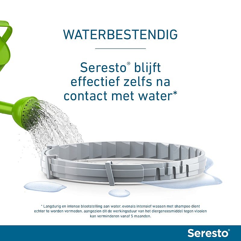 zwembad, waterbestendig, ring, afvoer, seresto