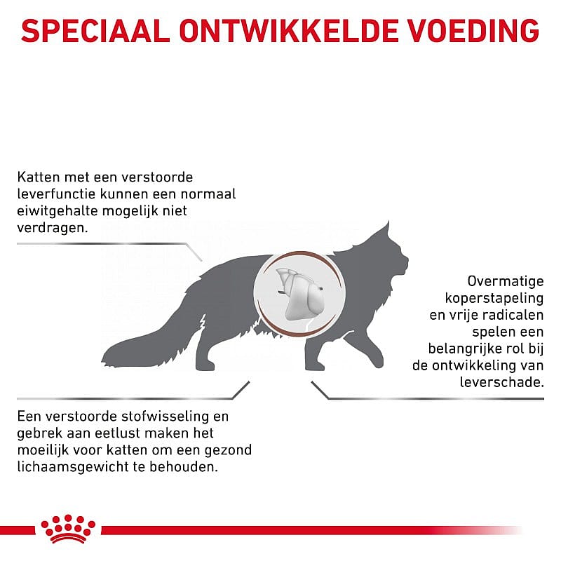 Royal Canin Hepatic Kat 4 kg