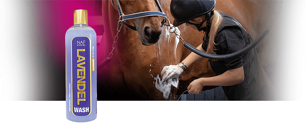 NAF Lavender Wash 500 ml – Verkoelende bodywash zonder naspoelen