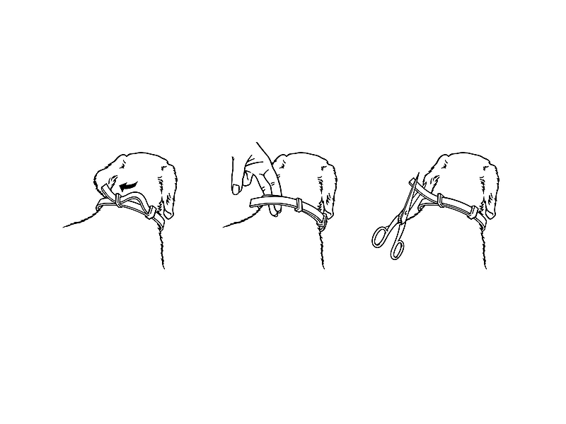 Seresto Halsband Hond: Vlooien en Teken Bescherming - 7 tot 8 maanden - Geurloos & Waterbestendig