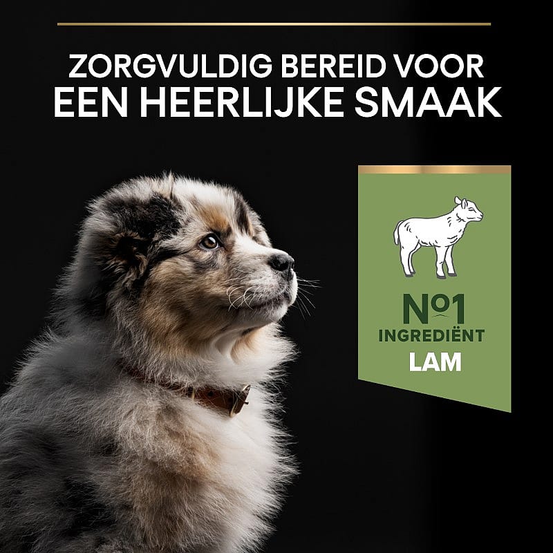 Purina Pro Plan Medium Puppy Sensitive Digestion Hondenvoer Lam 12 kg