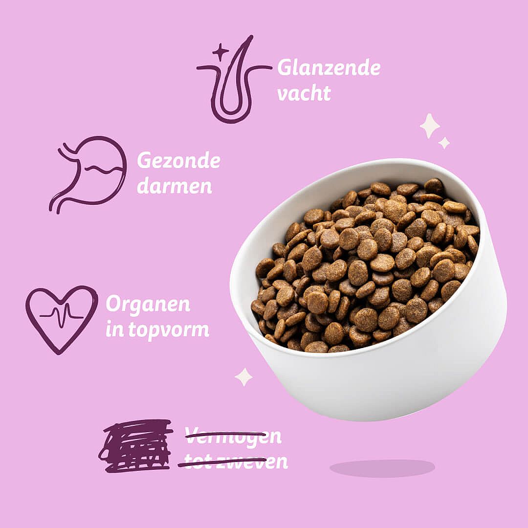 kibble, druppels, voedingskorrel, hondenvoer, krokant