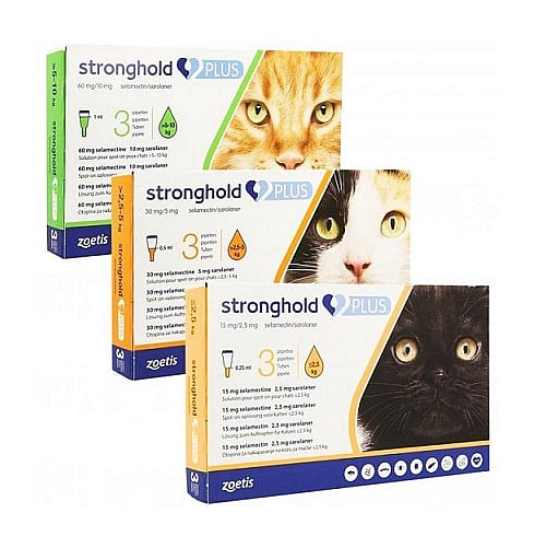 Stronghold Plus Spot-on Oplossing Kat