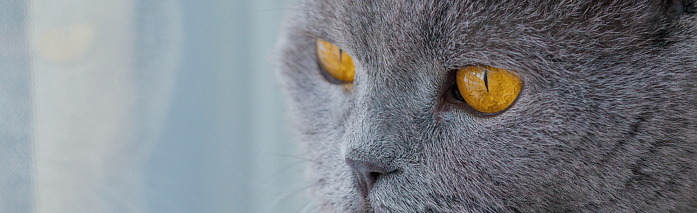 c55dfc2b5e669e0eef86f586c2aeb6ac