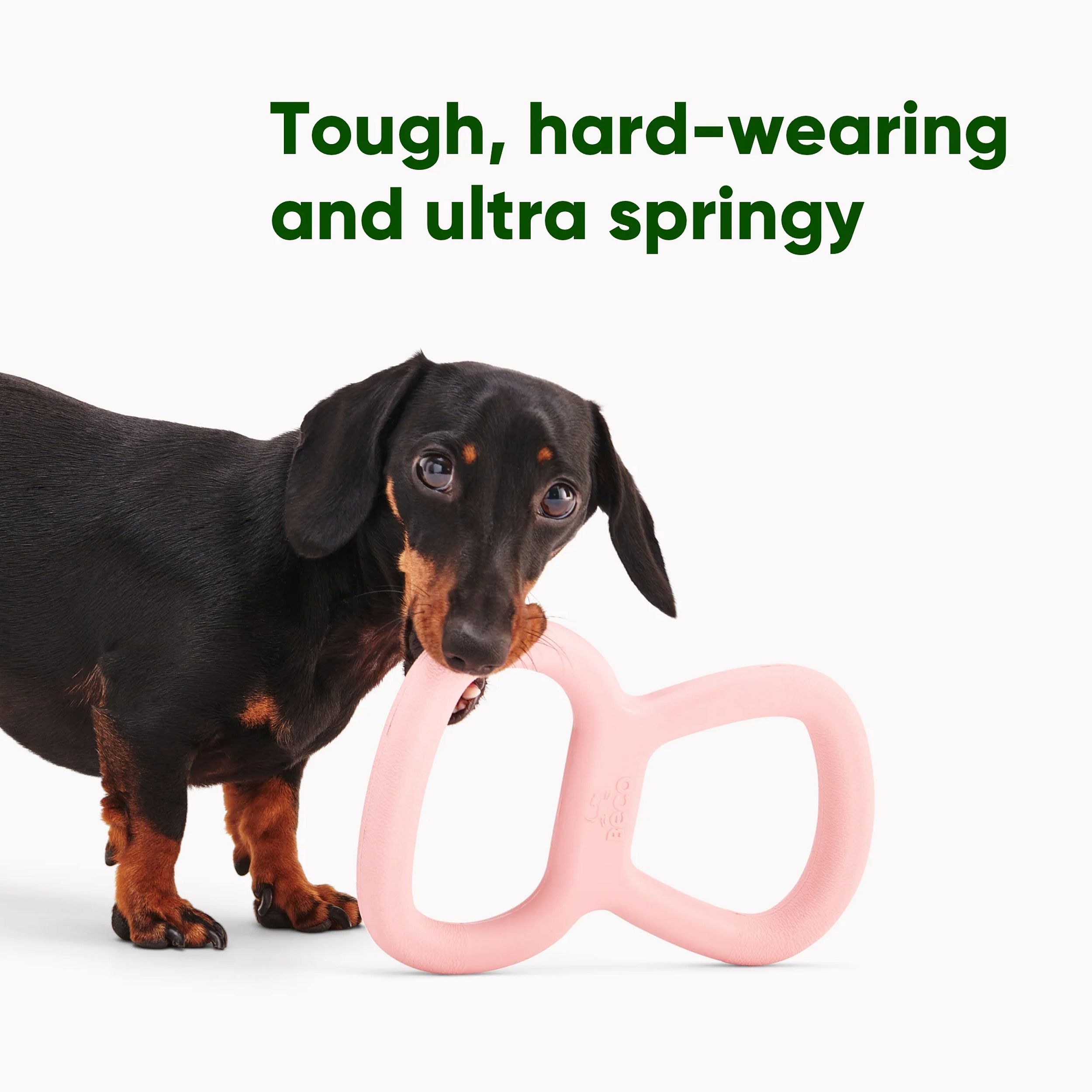 dutch dog toy, pink chew, rubber ring, dainty toy, short-nosed dog?