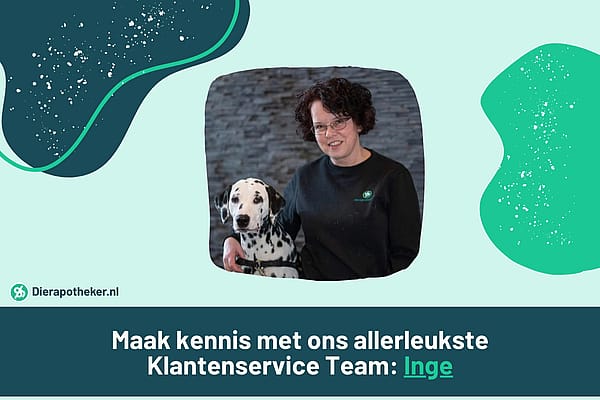 Preview_Image_600x400px_Inge_klantenservice_Blog