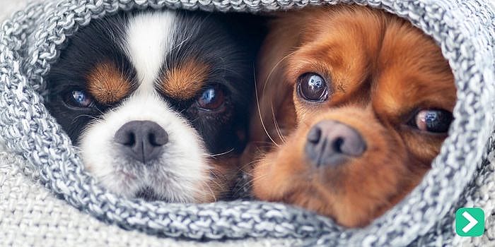 69b8cc131cc10d2c270f092af1bc6ce1