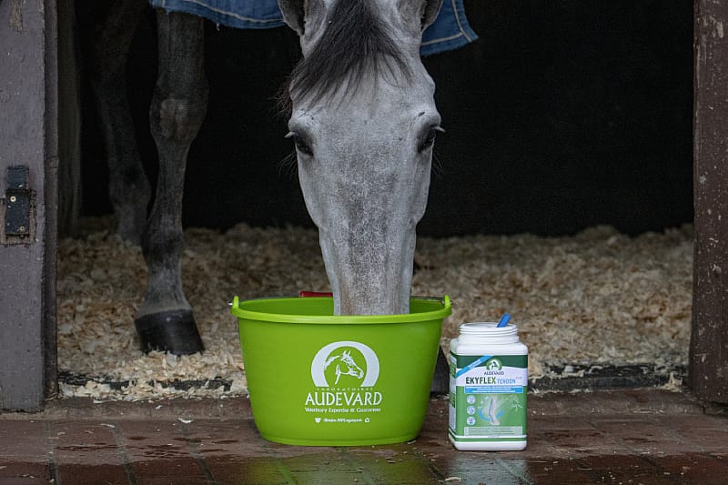 Audevard Ekyflex Tendon EVO Pezen Ligamenten Paard