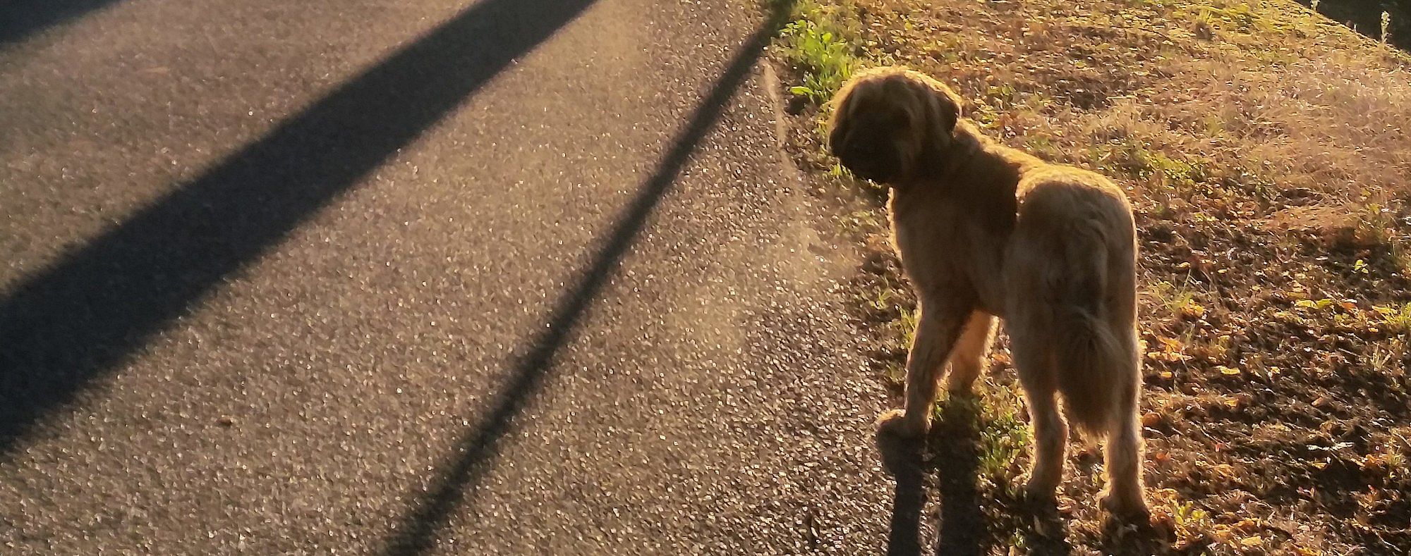 79963b32d149650b112c25cab5d843b0