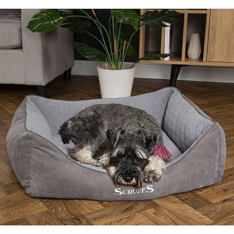 Scruffs Thermal Box Bed Hond