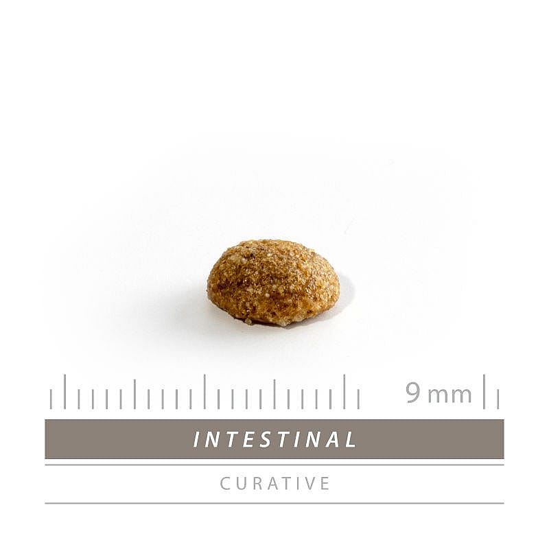 Sanimed Intestinal Kat: Dieetvoer voor Spijsvertering - Hoog Verteerbare Eiwitten - Acute diarree