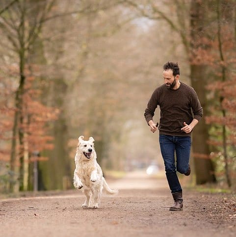 Fitness-voor-honden