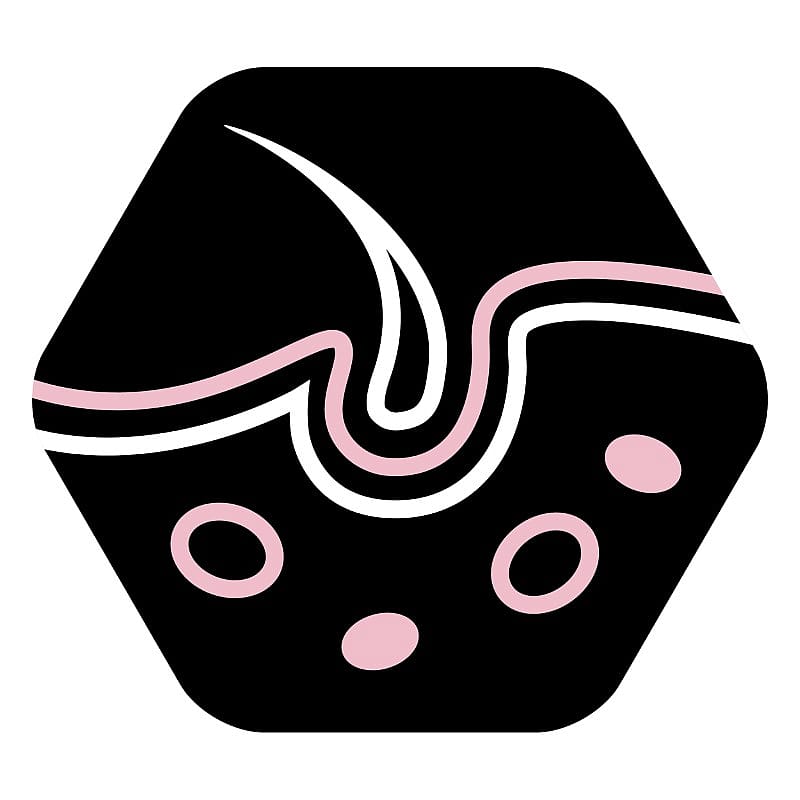 Purina Pro Plan Large Athletic Adult Sensitive Skin Hondenvoer 14 kg