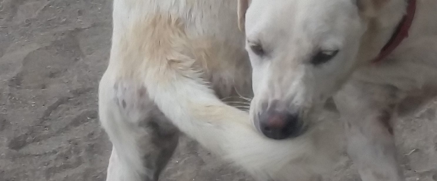 f0e1f75a874508fcd0ad5f3886d7e610