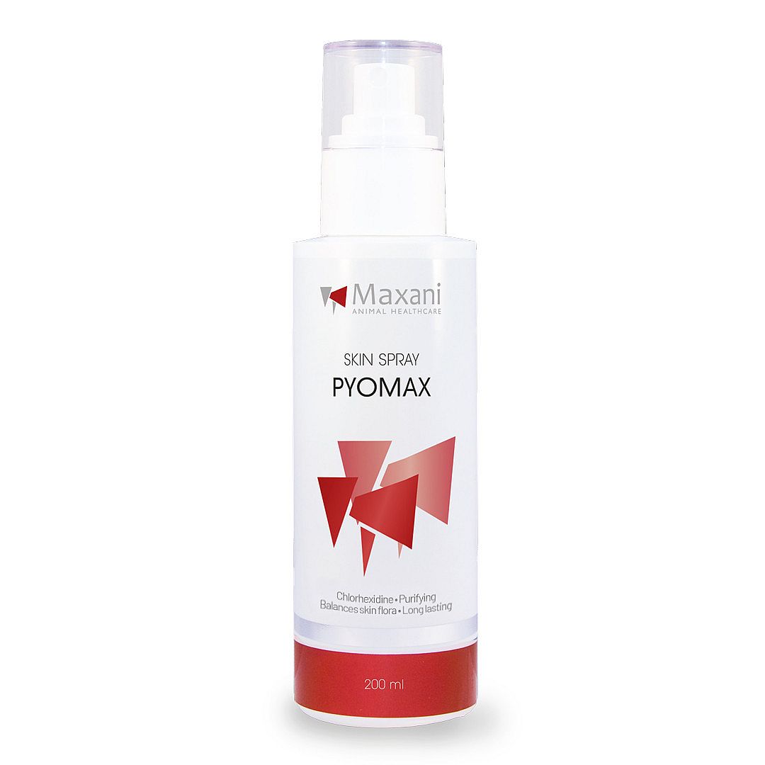 Maxani PyoMax Spray Hond Kat Paard 200 ml