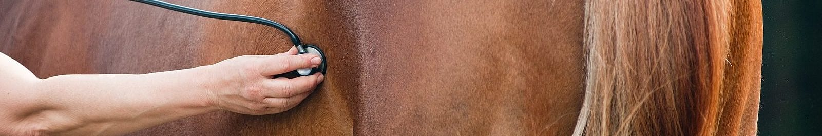 c339f76dd668e766afaf8ac664339380