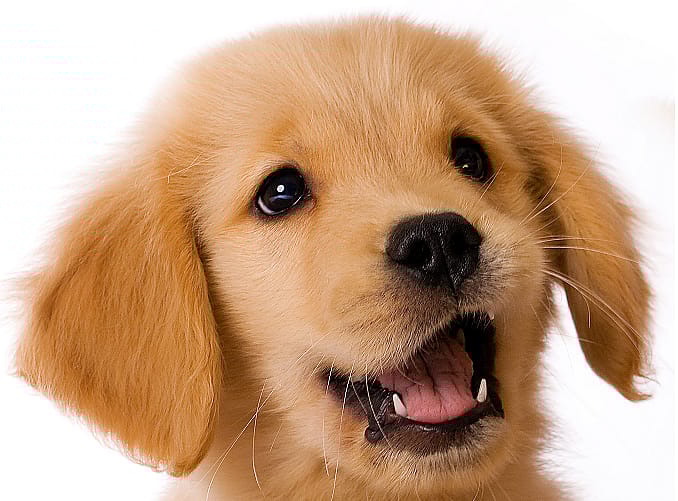 9d4d951bb17c27a8ab98fb69aac55191