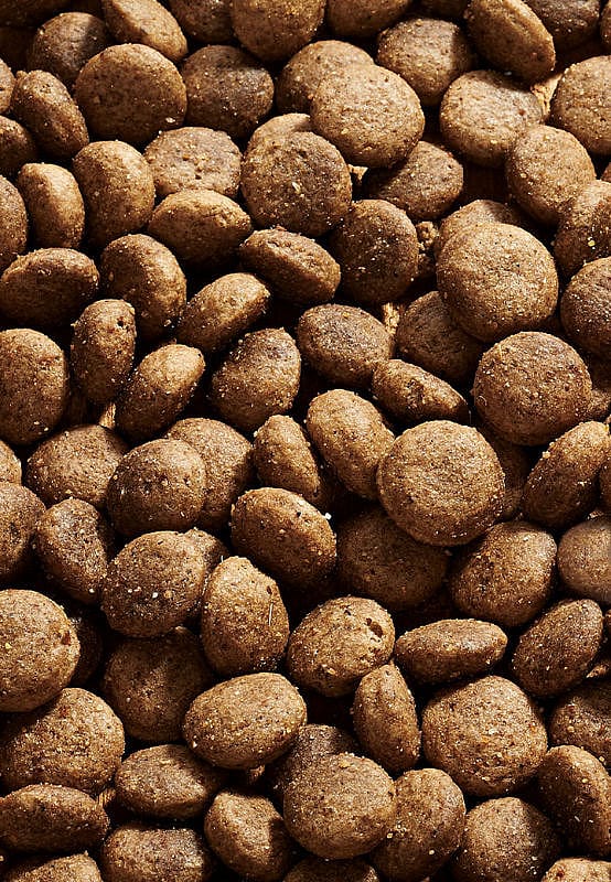 Vet-Concept Arthro Pack Hondenvoer