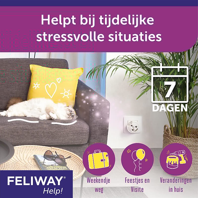 Feliway Help!