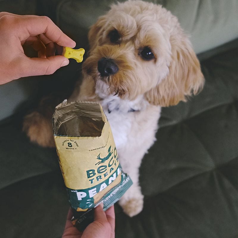 Beco Treats Peanut with Coconut & Turmeric 1 x 70 gram Hond