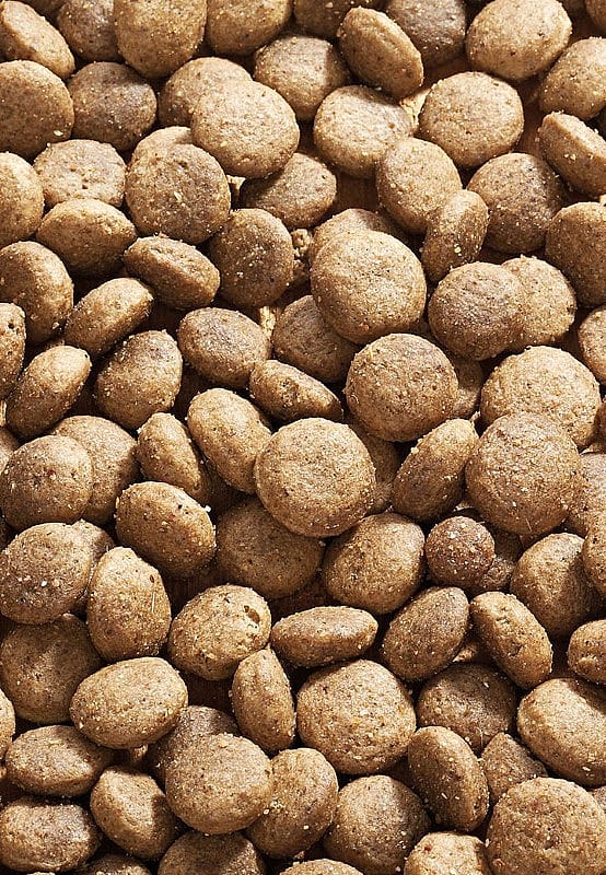 Vet-Concept Salmon Pack Hondenvoer