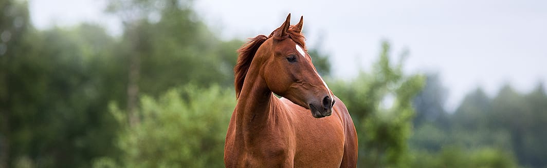 cb7d3983468dbc6e3c0288ac273850fa