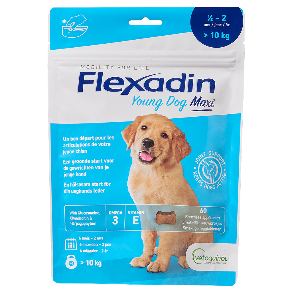 Flexadin Young Dog Maxi - 60 Kauwbrokjes