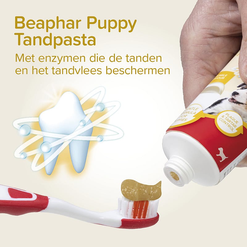 Beaphar Combi-Pack Puppy Tandpasta & Borstel