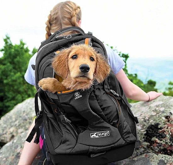 Kurgo G-Train Pack Rugzak Hond Black